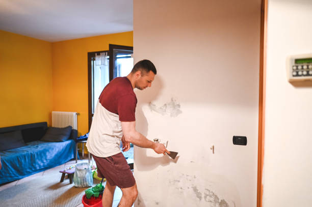 Best Mold Removal Near Me  in Joshua, TX