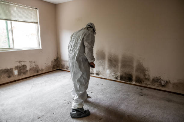 Best Crawl Space Mold Removal  in Joshua, TX